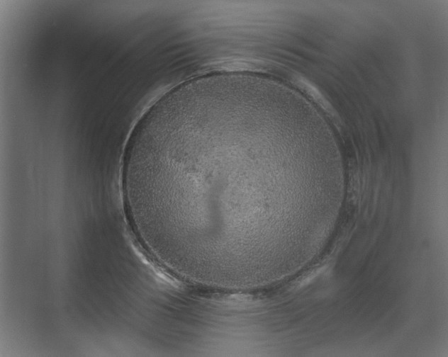 X0000074970986200609081407