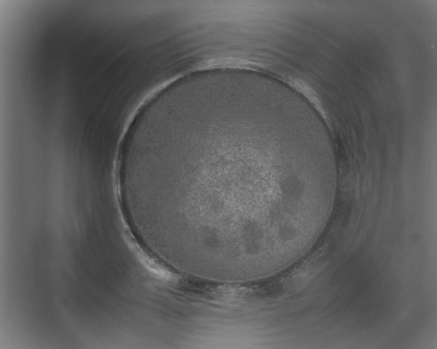 X0000074970987200609081407