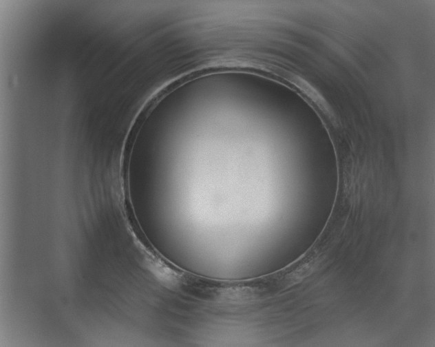 X0000074970988200609081407