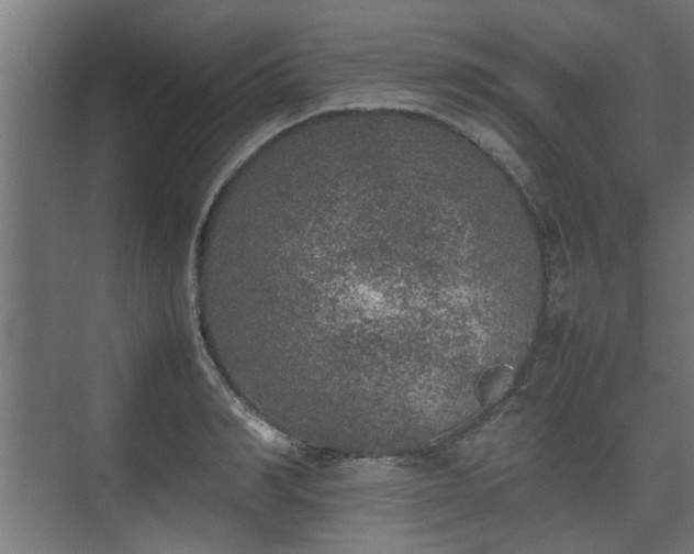 X0000074970990200609081407