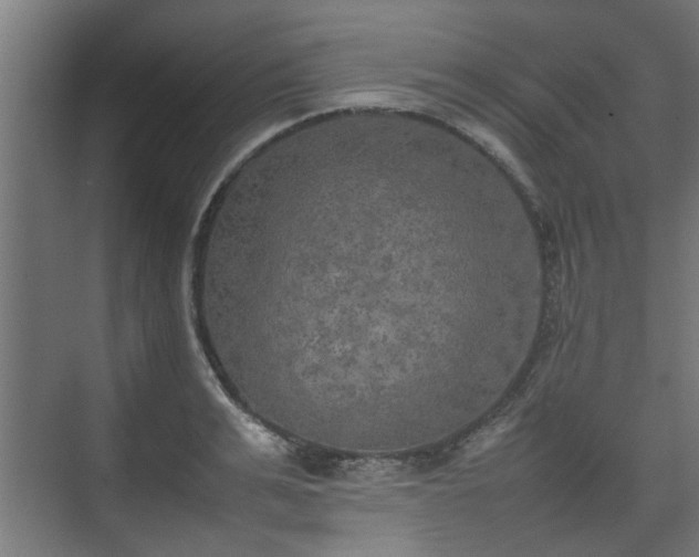 X0000074970991200609081407