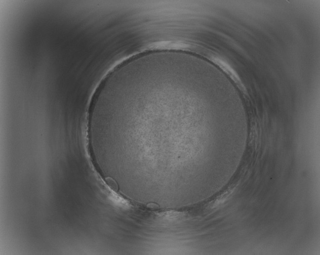 X0000074970992200609081407