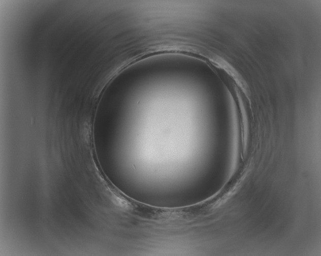 X0000074970993200609081407