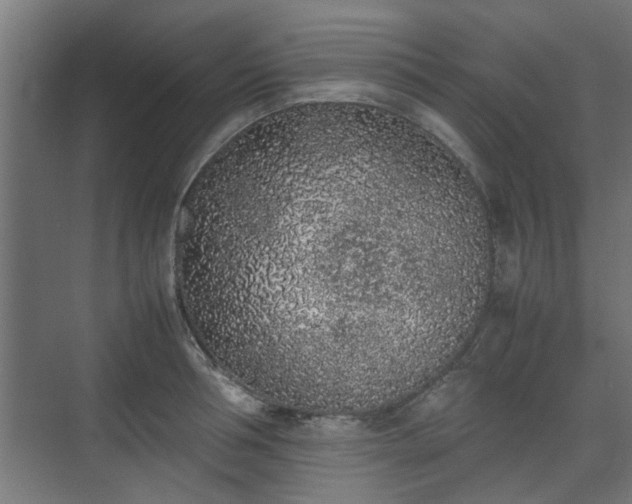 X0000074970994200609081407