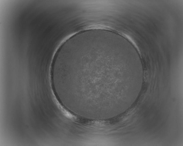 X0000074970995200609081407