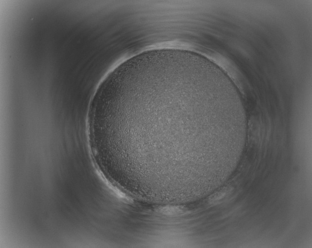 X0000074970998200609081407