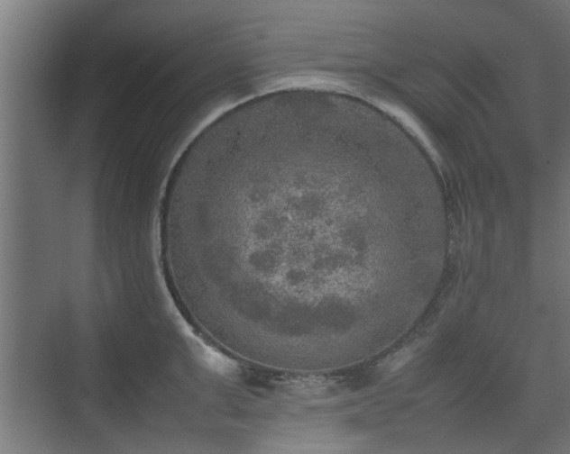 X0000074970999200609081406