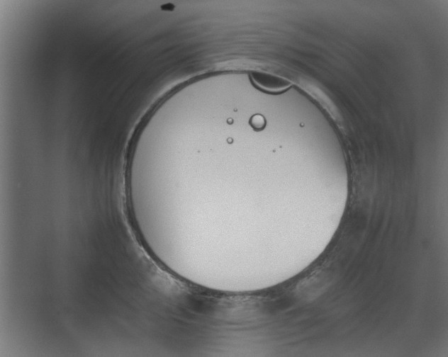 X0000074971000200609081406