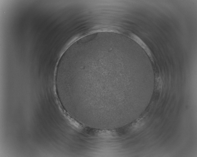 X0000074971002200609081406