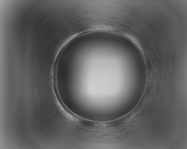 X0000074971003200609081406