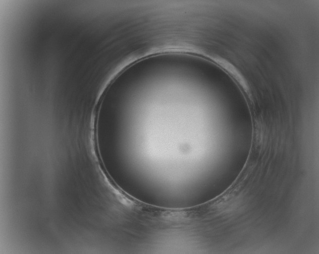 X0000074971006200609081406