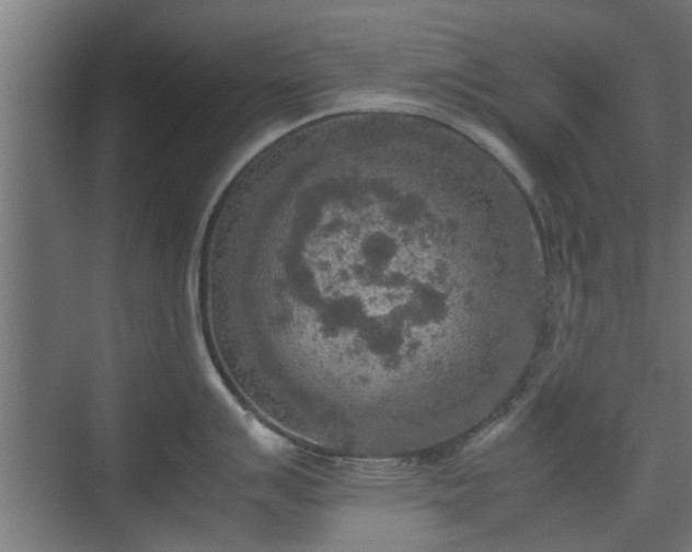 X0000074971007200609081406