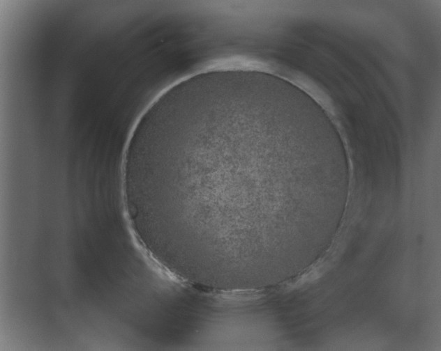 X0000074971008200609081406