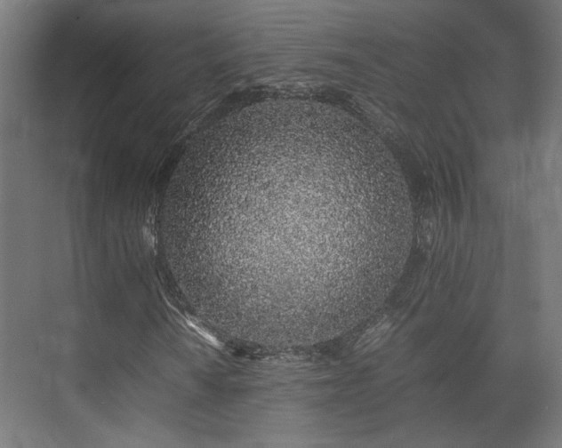 X0000074971010200609081406