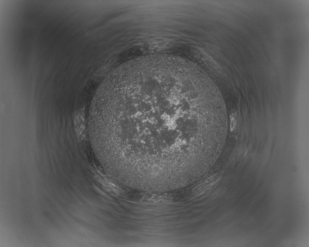 X0000074971011200609081406