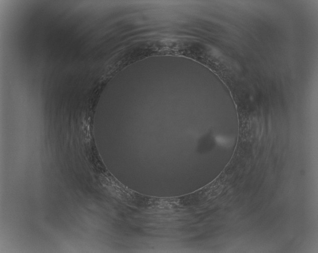 X0000074971013200609081406