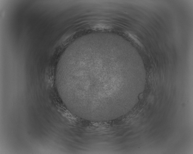 X0000074971015200609081406