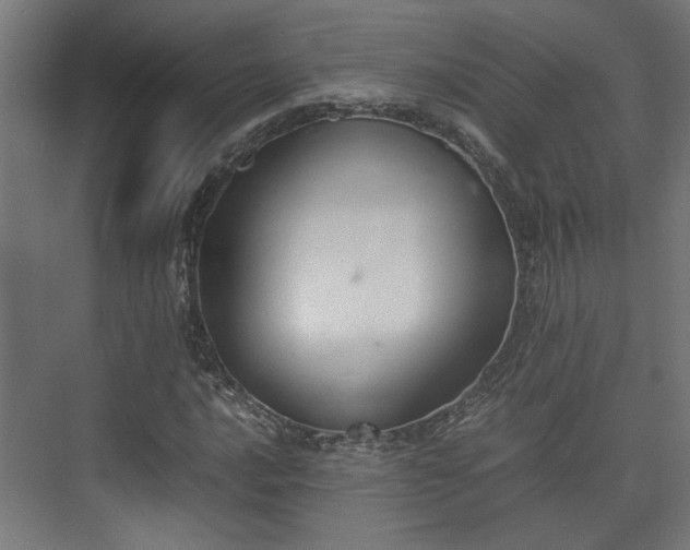 X0000074971016200609081406