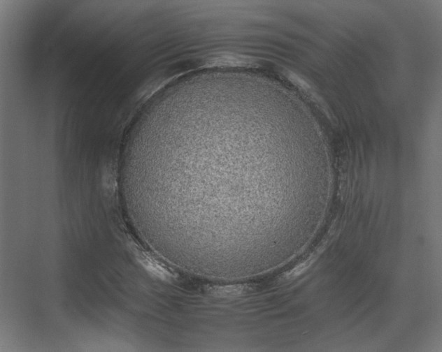 X0000074971017200609081406