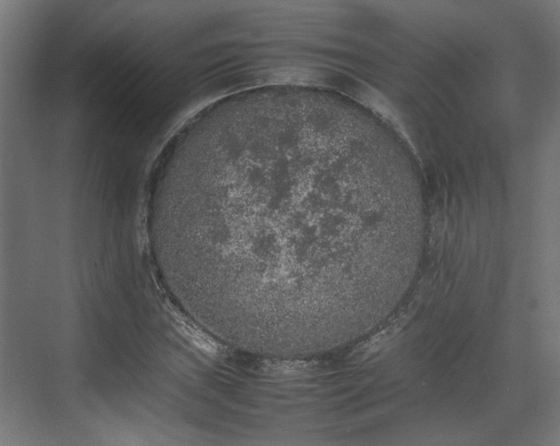 X0000074971019200609081406