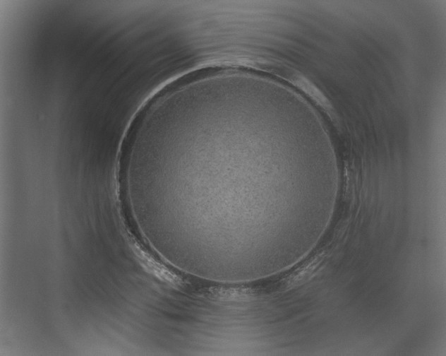 X0000074971020200609081406