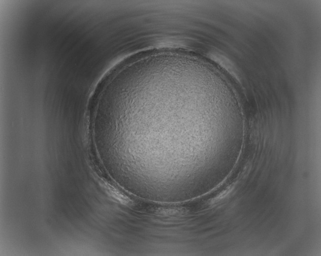 X0000074971021200609081406