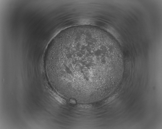 X0000074971023200609081406