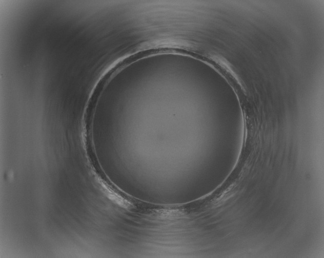 X0000074971024200609081406