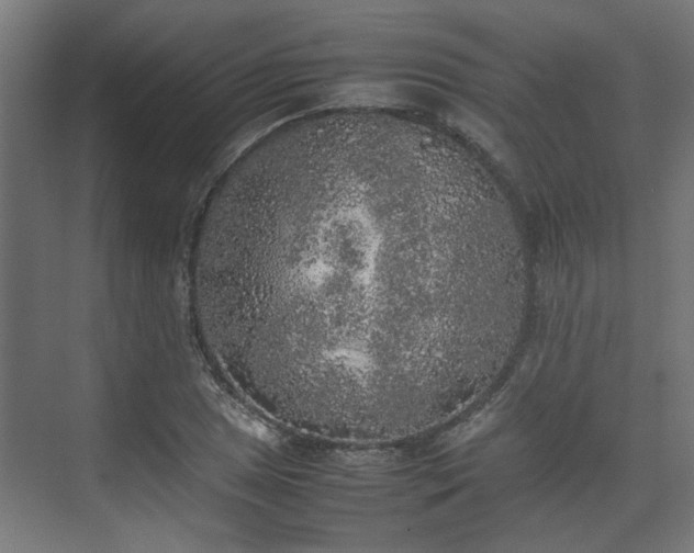 X0000074971025200609081406