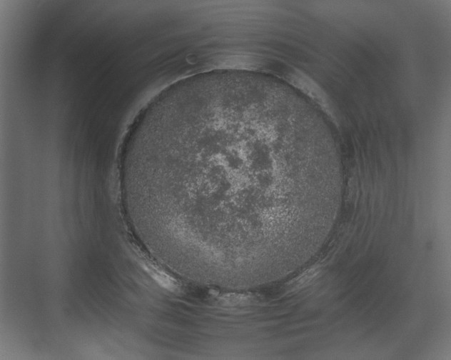 X0000074971027200609081406