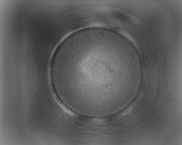 X0000074971029200609081406