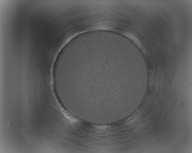 X0000074971031200609081406