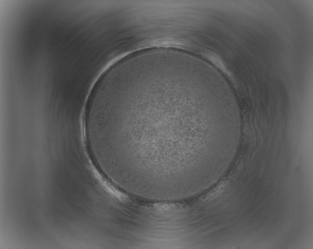 X0000074971032200609081406