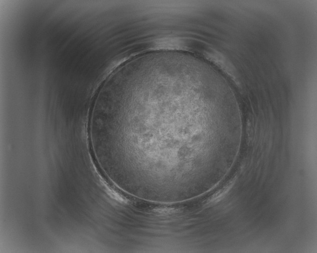 X0000074971033200609081406