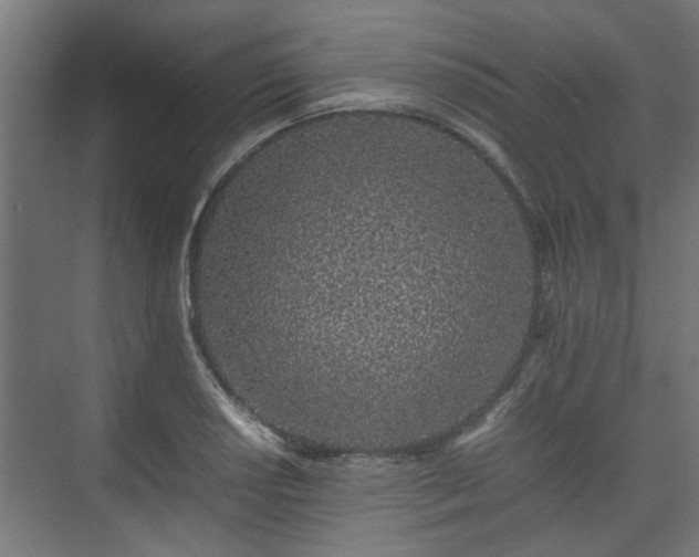 X0000074971034200609081406