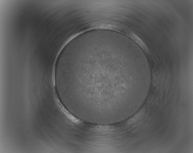 X0000074971036200609081406