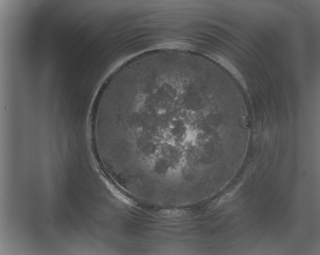 X0000074971037200609081406