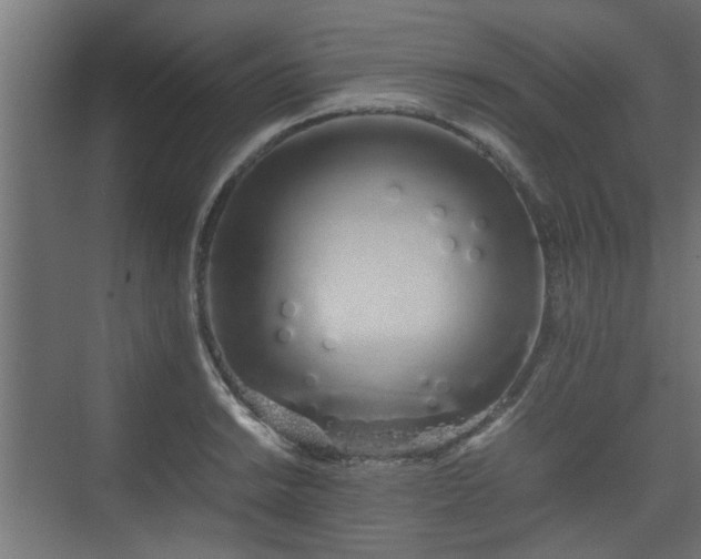 X0000074971038200609081406