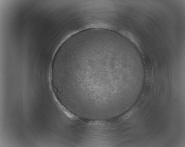 X0000074971040200609081406