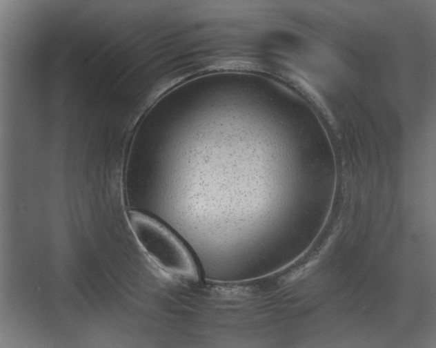 X0000074971041200609081406