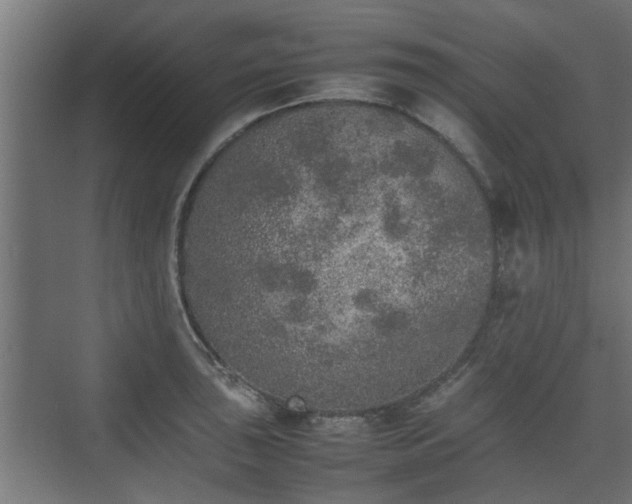 X0000074971043200609081406