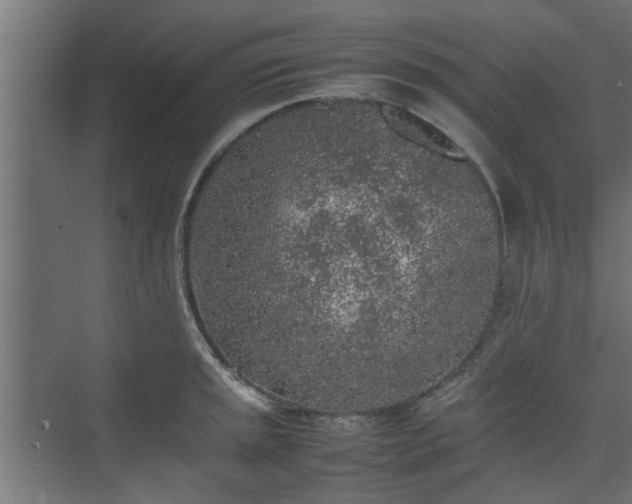 X0000074971045200609081406