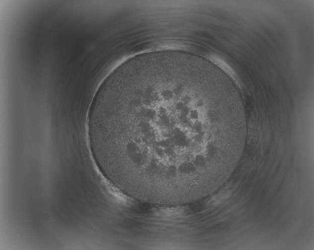 X0000074971047200609081406