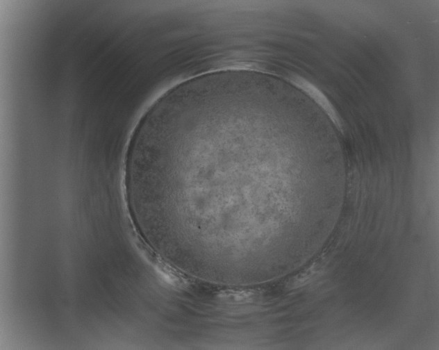 X0000074971051200609081406