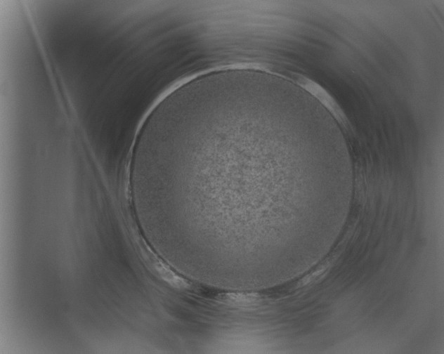 X0000074971052200609081406