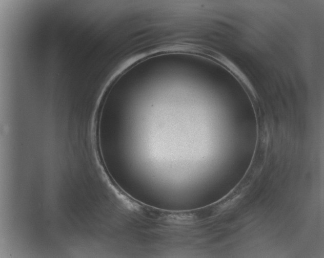 X0000074971053200609081406