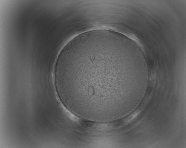 X0000074971054200609081406