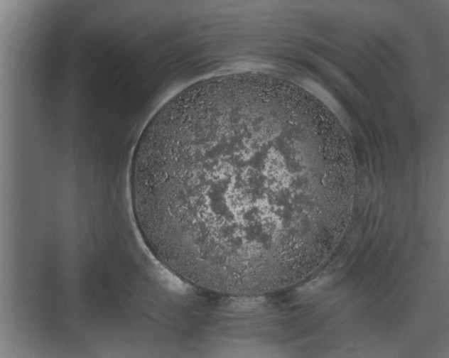 X0000074971055200609081406