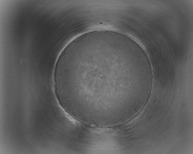 X0000074971056200609081406