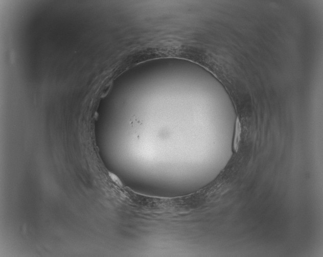 X0000074971057200609081406